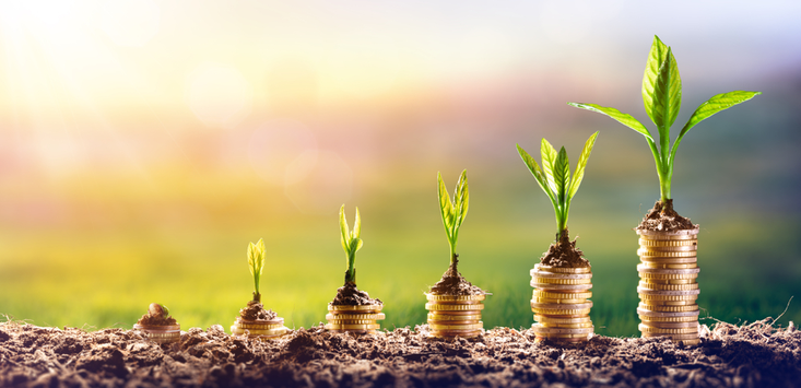 Which of These 3 Year Investment Options is Best for You?